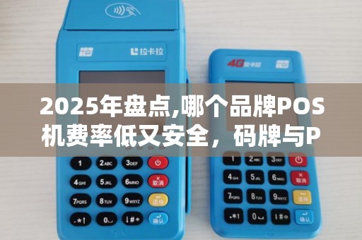 2025年盘点,哪个品牌POS机费率低又安全，码牌与POS机安全对比