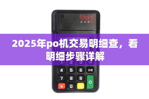 2025年po机交易明细查，看明细步骤详解