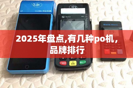 2025年盘点,有几种po机,品牌排行 2025年盘点,有几种po机,品牌排行