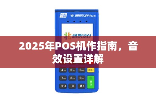 2025年POS机作指南，音效设置详解