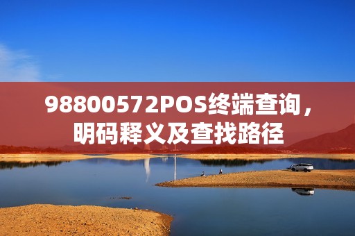 98800572POS终端查询,明码释义及查找路径 98800572POS终端查询,明码释义及查找路径