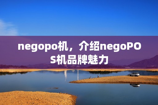 negopo机,介绍negoPOS机品牌魅力 negopo机,介绍negoPOS机品牌魅力