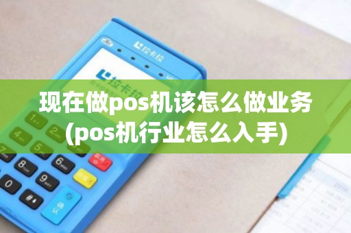 现在做pos机该怎么做业务(pos机行业怎么入手) 现在做pos机该怎么做业务(pos机行业怎么入手)