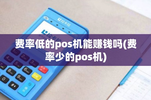 费率低的pos机能赚钱吗(费率少的pos机) 费率低的pos机能赚钱吗(费率少的pos机)