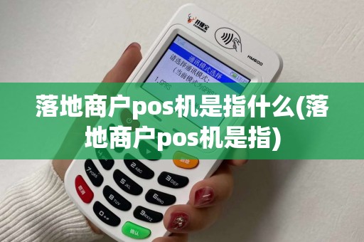 落地商户pos机是指什么(落地商户pos机是指) 落地商户pos机是指什么(落地商户pos机是指)