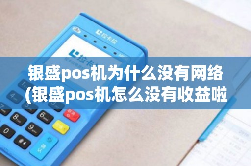 银盛pos机为什么没有网络(银盛pos机怎么没有收益啦) 银盛pos机为什么没有网络(银盛pos机怎么没有收益啦)