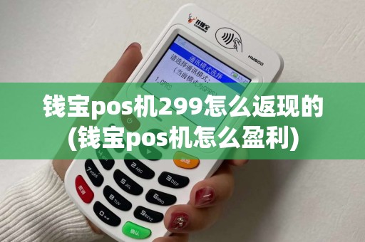 钱宝pos机299怎么返现的(钱宝pos机怎么盈利) 钱宝pos机299怎么返现的(钱宝pos机怎么盈利)