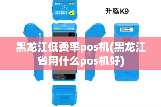 黑龙江低费率pos机(黑龙江省用什么pos机好) 黑龙江低费率pos机(黑龙江省用什么pos机好)