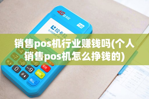 销售pos机行业赚钱吗(个人销售pos机怎么挣钱的)
