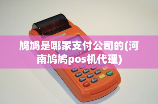 鸠鸠是哪家支付公司的(河南鸠鸠pos机代理)