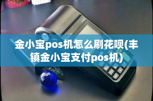 金小宝pos机怎么刷花呗(丰镇金小宝支付pos机) 金小宝pos机怎么刷花呗(丰镇金小宝支付pos机)