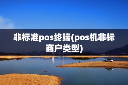 非标准pos终端(pos机非标商户类型) 非标准pos终端(pos机非标商户类型)
