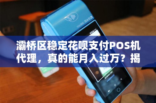 灞桥区稳定花呗支付POS机代理,真的能月入过万?揭秘行业内幕! 灞桥区稳定花呗支付POS机代理,真的能月入过万?揭秘行业内幕!