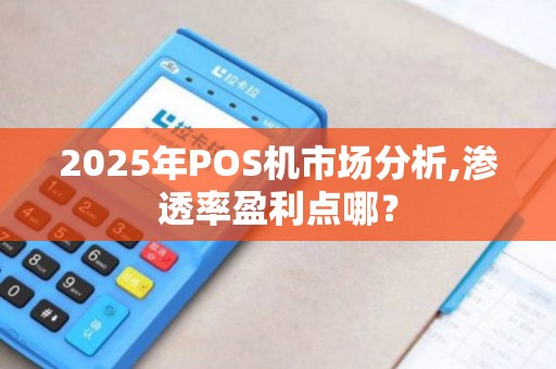 2025年POS机市场分析,渗透率盈利点哪? 2025年POS机市场分析,渗透率盈利点哪?