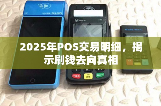 2025年POS交易明细，揭示刷钱去向真相