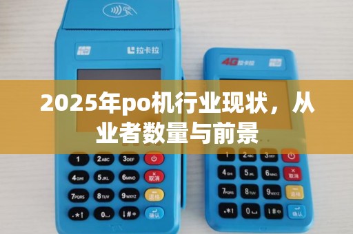 2025年po机行业现状,从业者数量与前景 2025年po机行业现状,从业者数量与前景
