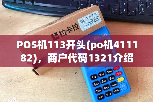POS机113开头(po机411182),商户代码1321介绍 POS机113开头(po机411182),商户代码1321介绍