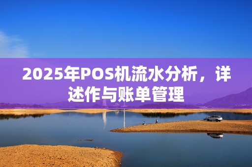 2025年POS机流水分析,详述作与账单管理 2025年POS机流水分析,详述作与账单管理