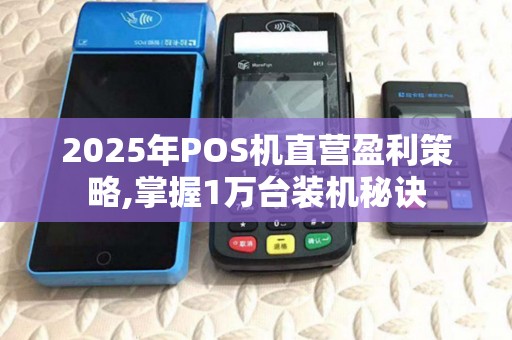 2025年POS机直营盈利策略,掌握1万台装机秘诀 2025年POS机直营盈利策略,掌握1万台装机秘诀