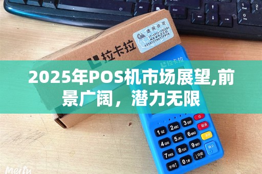 2025年POS机市场展望,前景广阔,潜力无限 2025年POS机市场展望,前景广阔,潜力无限