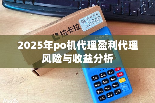 2025年po机代理盈利代理风险与收益分析 2025年po机代理盈利代理风险与收益分析