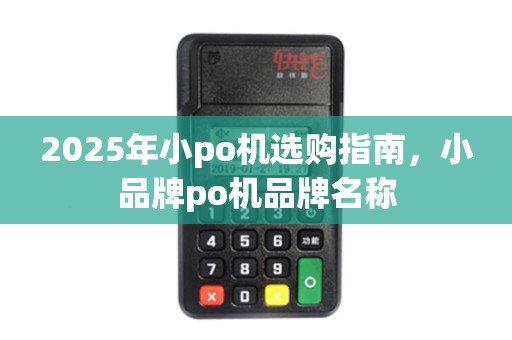 2025年小po机选购指南,小品牌po机品牌名称 2025年小po机选购指南,小品牌po机品牌名称