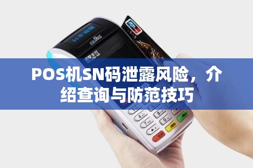 POS机SN码泄露风险,介绍查询与防范技巧 POS机SN码泄露风险,介绍查询与防范技巧