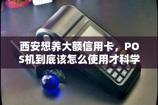 西安想养大额信用卡,POS机到底该怎么使用才科学? 西安想养大额信用卡,POS机到底该怎么使用才科学?