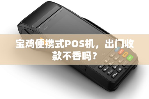 宝鸡便携式POS机，出门收款不香吗？