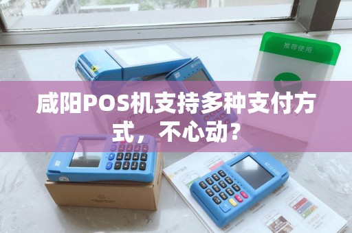 咸阳POS机支持多种支付方式,不心动? 咸阳POS机支持多种支付方式,不心动?