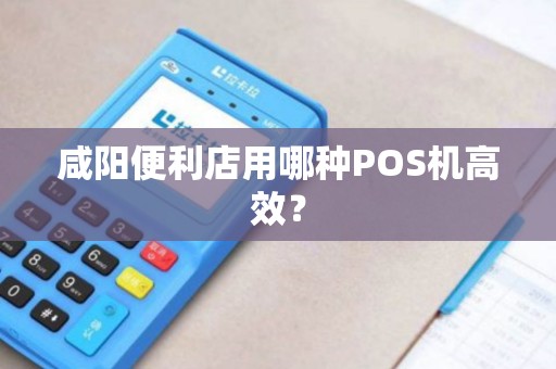 咸阳便利店用哪种POS机高效？