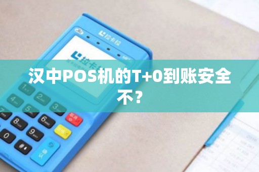 汉中POS机的T+0到账安全不? 汉中POS机的T+0到账安全不?
