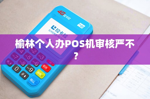 榆林个人办POS机审核严不? 榆林个人办POS机审核严不?