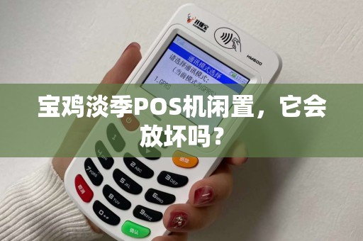 宝鸡淡季POS机闲置,它会放坏吗? 宝鸡淡季POS机闲置,它会放坏吗?