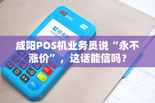 咸阳POS机业务员说“永不涨价”，这话能信吗？