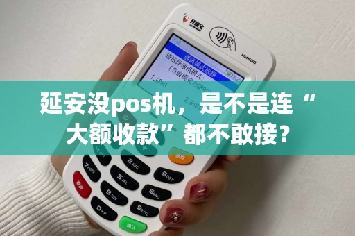 延安没pos机,是不是连“大额收款”都不敢接? 延安没pos机,是不是连“大额收款”都不敢接?