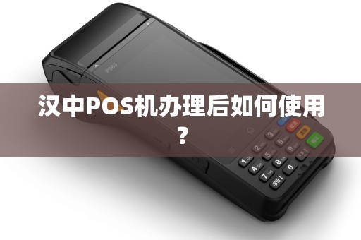 汉中POS机办理后如何使用？