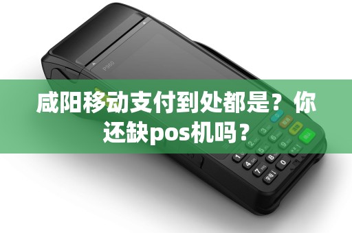咸阳移动支付到处都是?你还缺pos机吗? 咸阳移动支付到处都是?你还缺pos机吗?