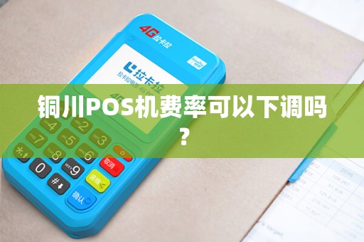 铜川POS机费率可以下调吗? 铜川POS机费率可以下调吗?