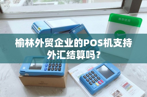 榆林外贸企业的POS机支持外汇结算吗？