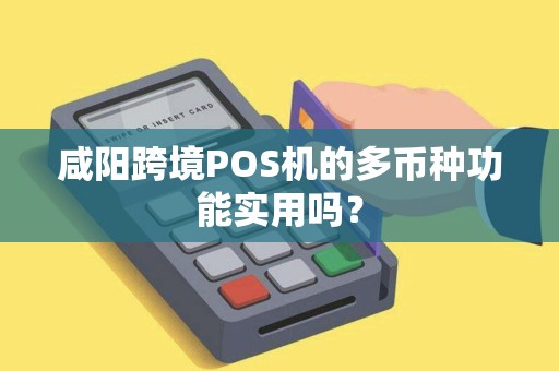 咸阳跨境POS机的多币种功能实用吗？
