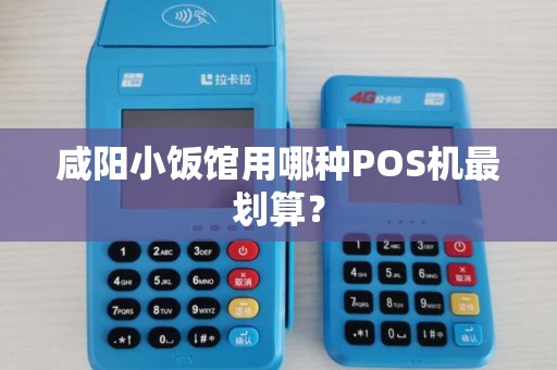 咸阳小饭馆用哪种POS机最划算？