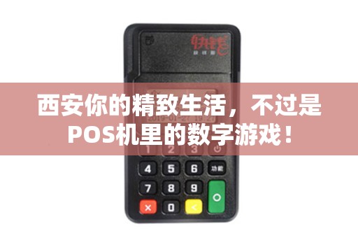 西安你的精致生活,不过是POS机里的数字游戏! 西安你的精致生活,不过是POS机里的数字游戏!