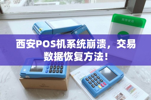 西安POS机系统崩溃，交易数据恢复方法！