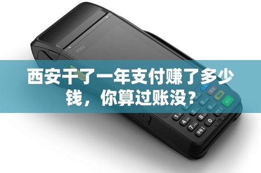 西安干了一年支付赚了多少钱，你算过账没？