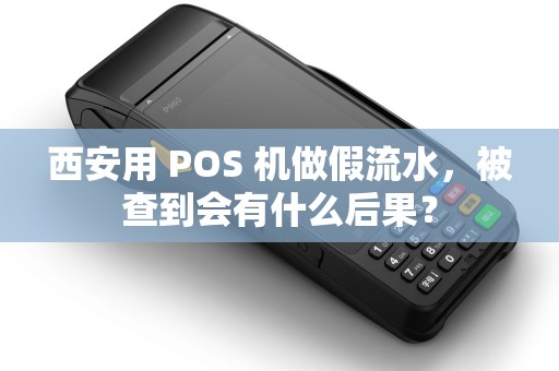 西安用 POS 机做假流水,被查到会有什么后果? 西安用 POS 机做假流水,被查到会有什么后果?