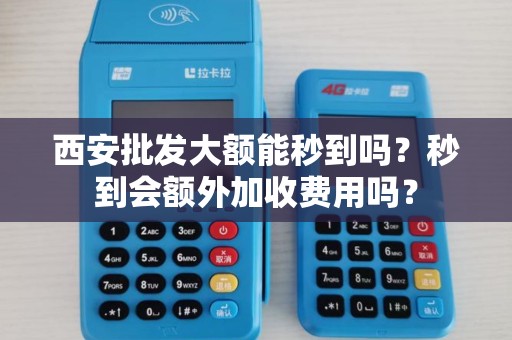西安批发大额能秒到吗?秒到会额外加收费用吗? 西安批发大额能秒到吗?秒到会额外加收费用吗?