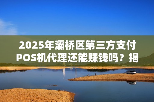 2025年灞桥区第三方支付POS机代理还能赚钱吗？揭秘行业新机遇与挑战！