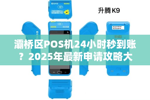灞桥区POS机24小时秒到账？2025年最新申请攻略大揭秘！