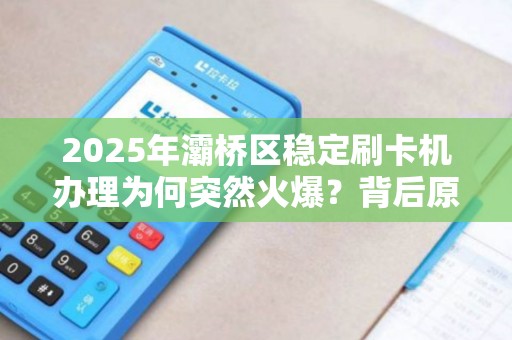 2025年灞桥区稳定刷卡机办理为何突然火爆?背后原因让人意想不到! 2025年灞桥区稳定刷卡机办理为何突然火爆?背后原因让人意想不到!